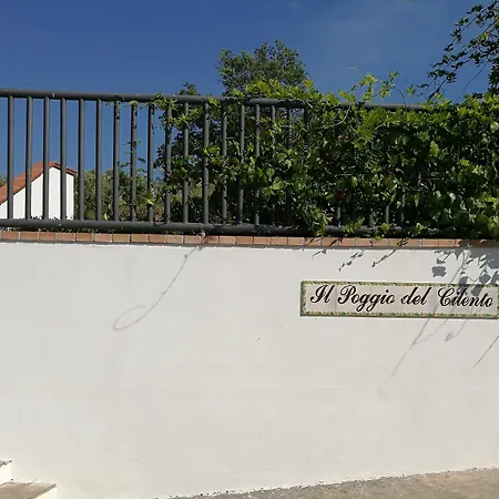 Il Poggio Del Cilento Pensionat *